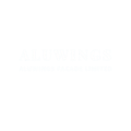 aluwings 1 removebg preview 300x300